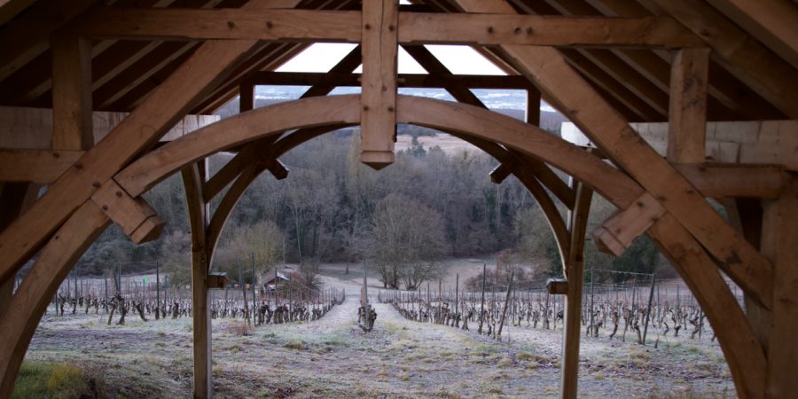 GALERIE - LES SAISONS AU DOMAINE DES GRAVES