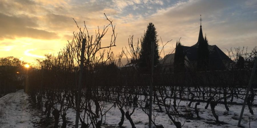 Le Domaine des Graves