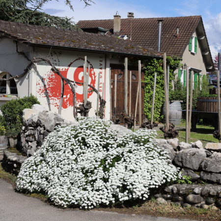 Le Domaine des Graves