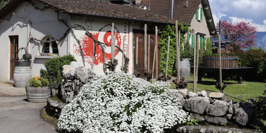 Le Domaine des Graves